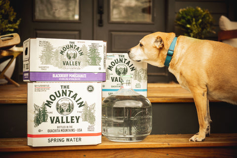 Why Spring Water is Good for Pets, Too