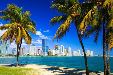 Florida Water Delivery: America’s best bottled water delivered to Miami, Tampa and all of Florida