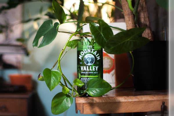 Upcycling with Mountain Valley