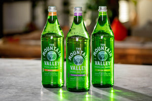 Mountain Valley that Sparkles