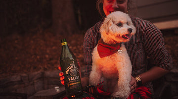 Spring Water for Pets: How Mountain Valley Keeps Your Furry Friends Hydrated