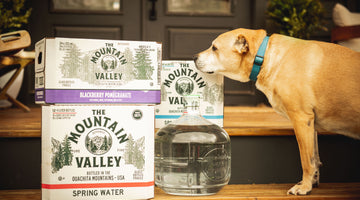 Why Spring Water is Good for Pets, Too