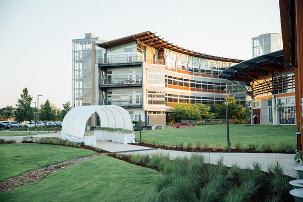 From Farm to Table: Heifer International’s “Feast in the Field”