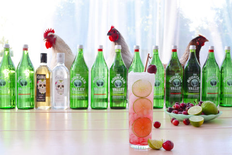 Sparkling Water & Tequila Cocktails