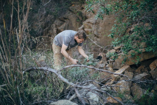 A mountain-inspired spring water cocktail recipe