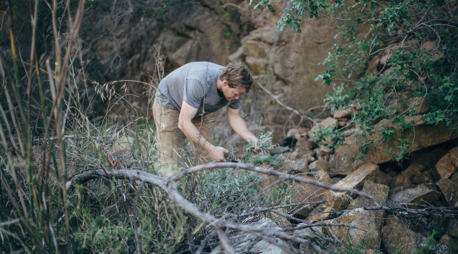 A mountain-inspired spring water cocktail recipe
