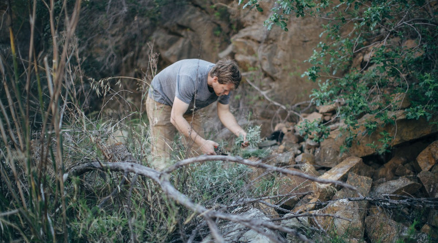 A mountain-inspired spring water cocktail recipe