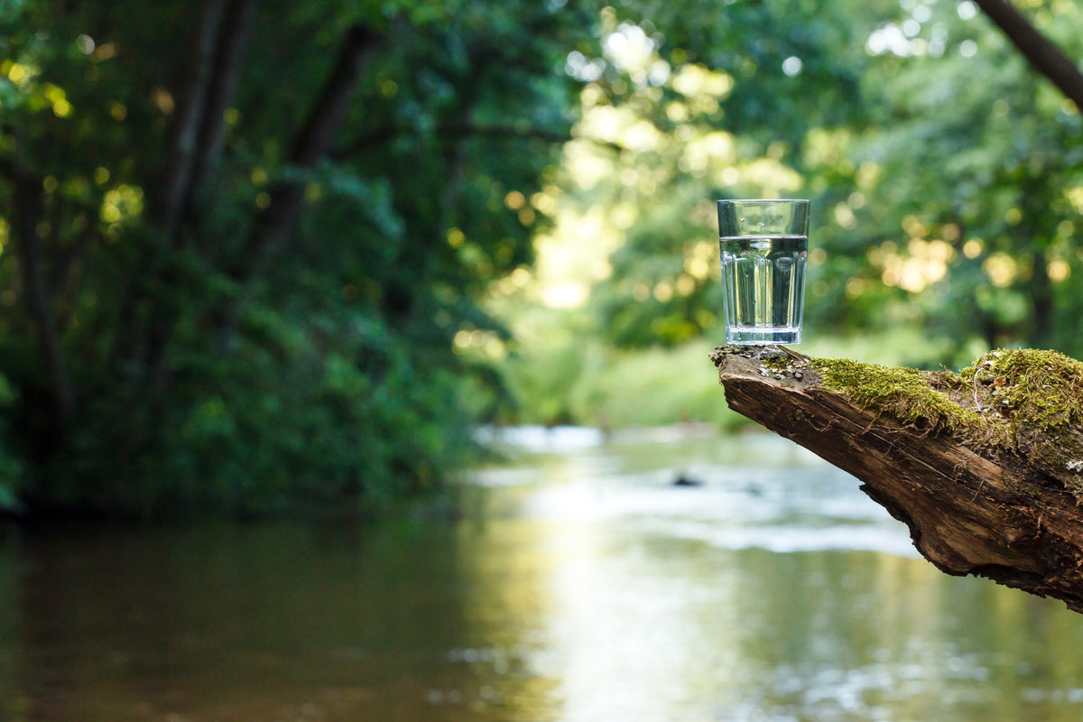 pH Balance and Spring Water — Great Water is a Balancing Act – Mountain ...