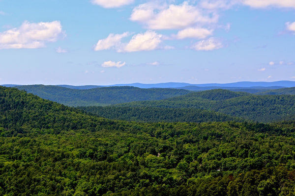11 reasons we love our home in the Ouachita Mountains