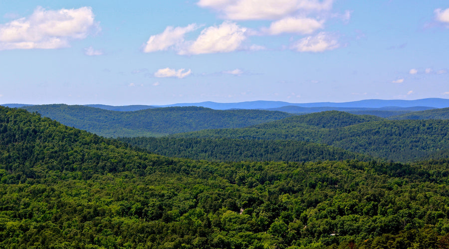 11 reasons we love our home in the Ouachita Mountains