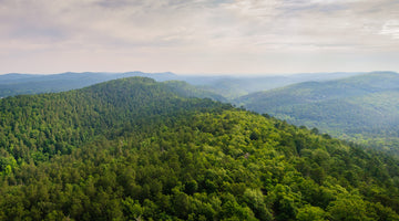 What is spring water? The answer seems so simple.